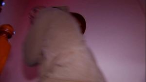 Allya Hardcore Amateur Scene