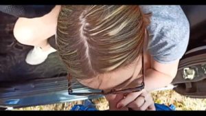 sweet babe passionately sucks dick and fucks in the car