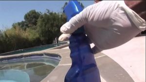 Wet Juicy Asses All Stars:Melrose Foxxx