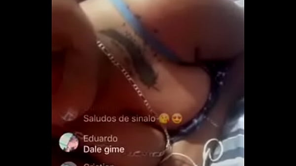Regia zorra