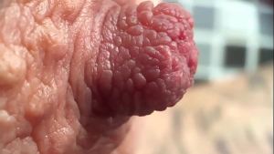 Extreme Close Up on My Nipples Play … I think you never see it