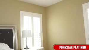 Hot Gals Eva Notty & Leya Falcon In A Toy Filled Party!