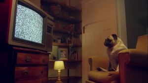 Intense Passion on the Couch – Amy Douxxx in Wild Doggystyle Action | Benefit Monkey