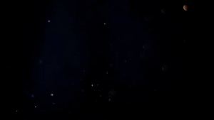 MILF brasileira maravilhosa levando vara grossa na buceta