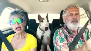 We drive around East Oahu while chatting about things sexual