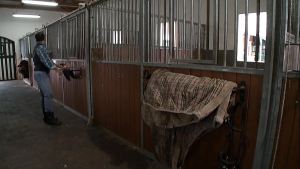 Tera Joy Gets Fucked By A Stylish Man SQF