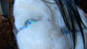 Snow Queen Sucks & Swallows – Cum on My Fur Coat- preview