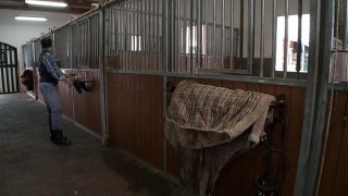 Tera Joy Gets Fucked By A Stylish Man Sqf