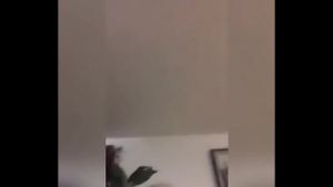 Big Booty ugly Bitch Mix video