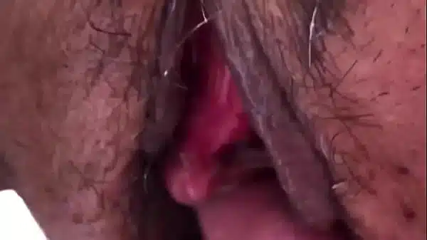 Erotic couple sex life.