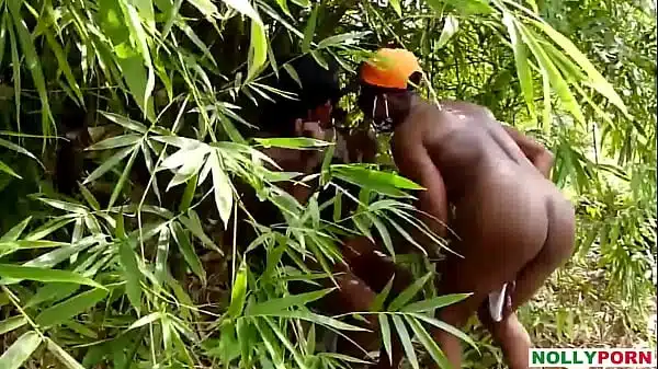 NOLLYPORN – Sex in The Forest