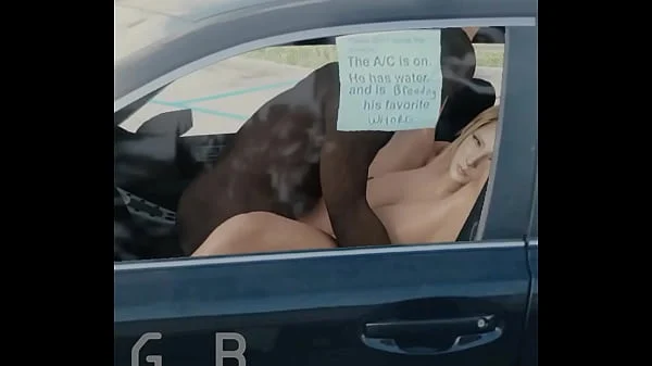 Samus aran sex in the car (GeneralButch)