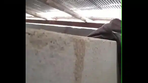 AKSI SEKS BARAT YANG SAYA SUKA 1