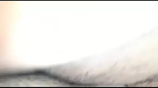 Sexo caseiro amador brasileiro