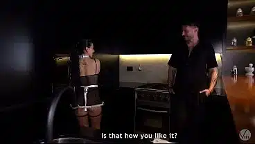 I was horny for the maid and fucked her in the kitchen while she was cleaning.