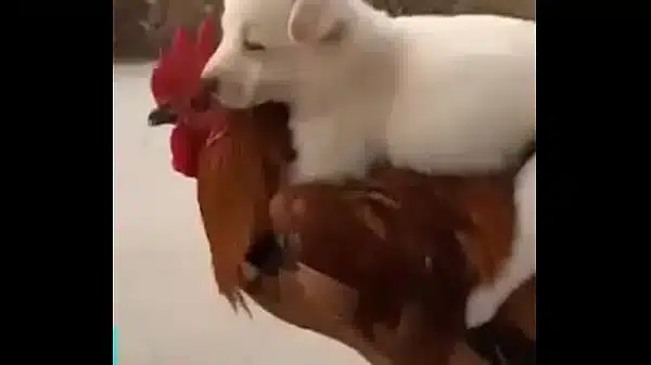 Xnxx.com