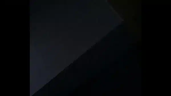 Xvideos