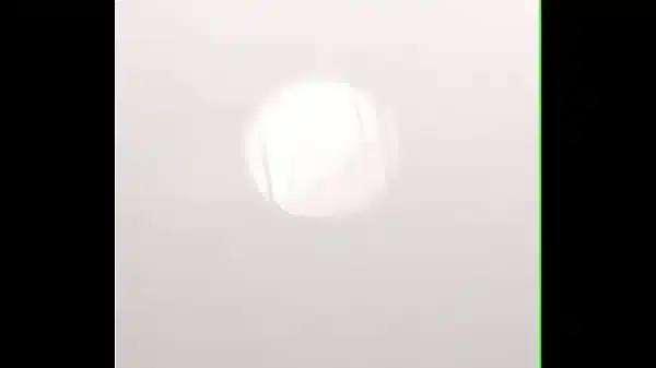 You you tim
